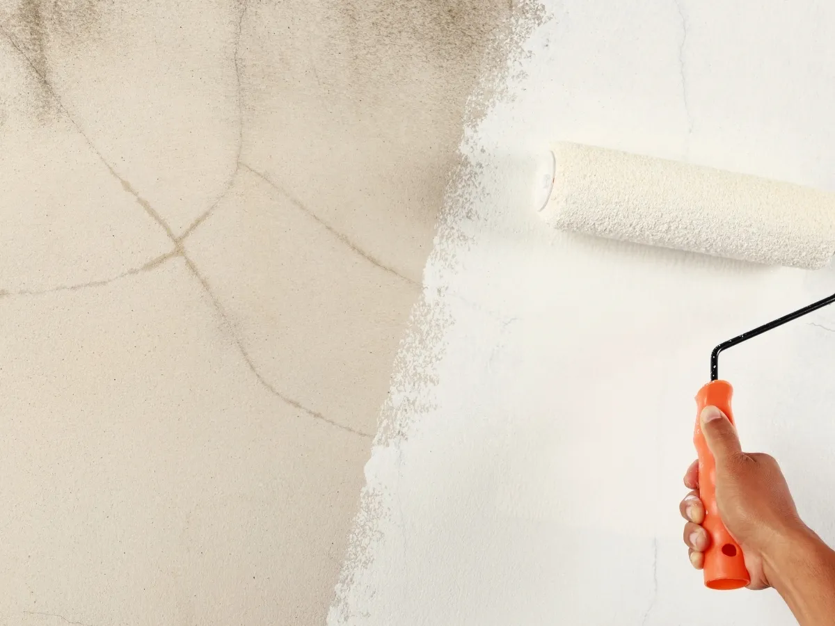 stain blocking paint solutions