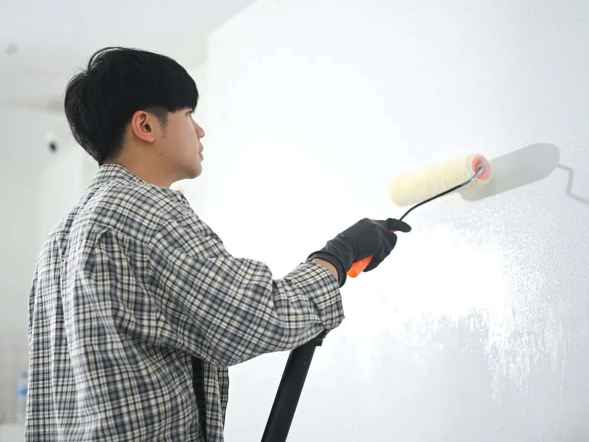maintain freshly painted walls