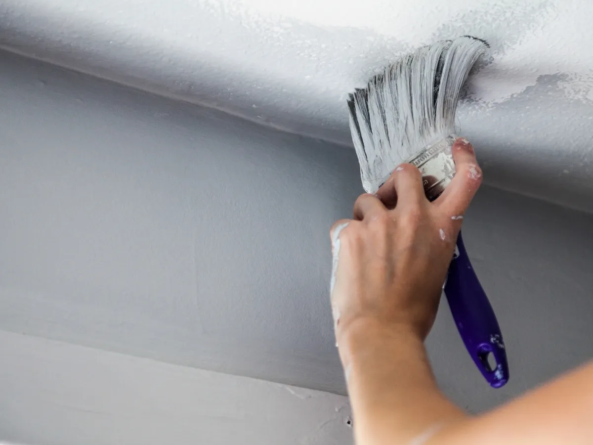 painted ceiling ideas