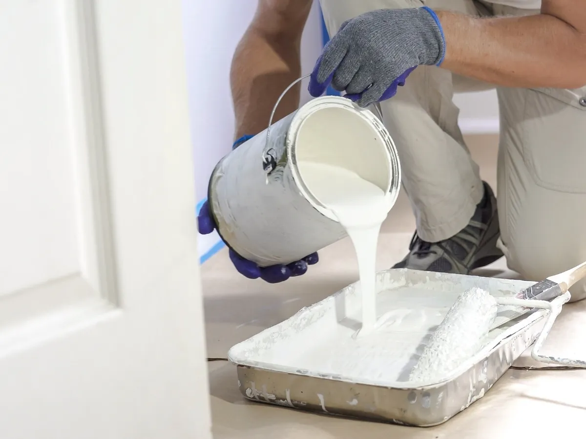 paint for plaster walls