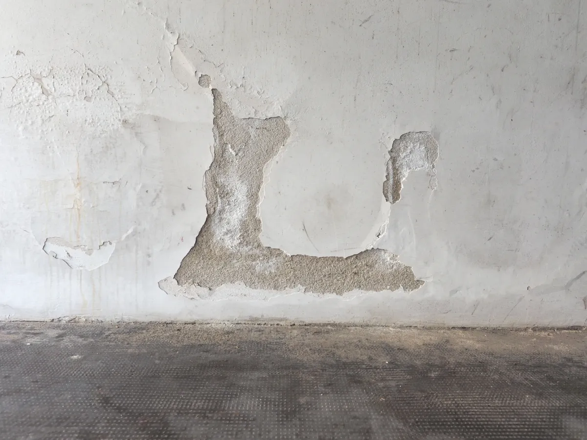 peeling exterior paint causes