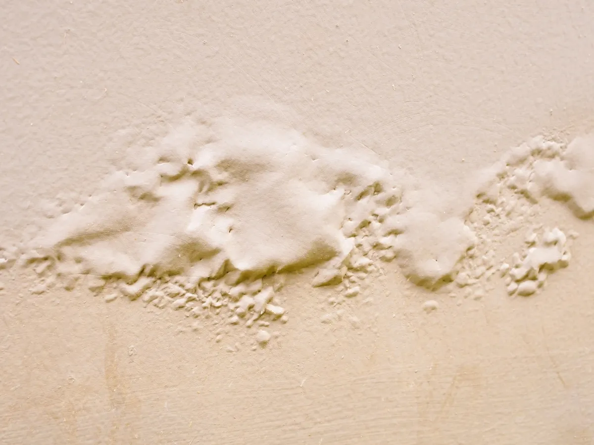 paint bubbling causes